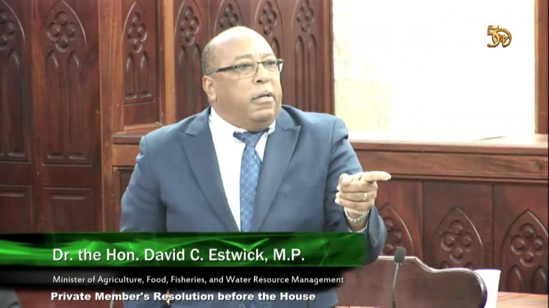 Dr. the Hon. David C. Estwick