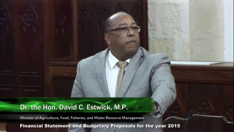 Dr. the Hon. David C. Estwick