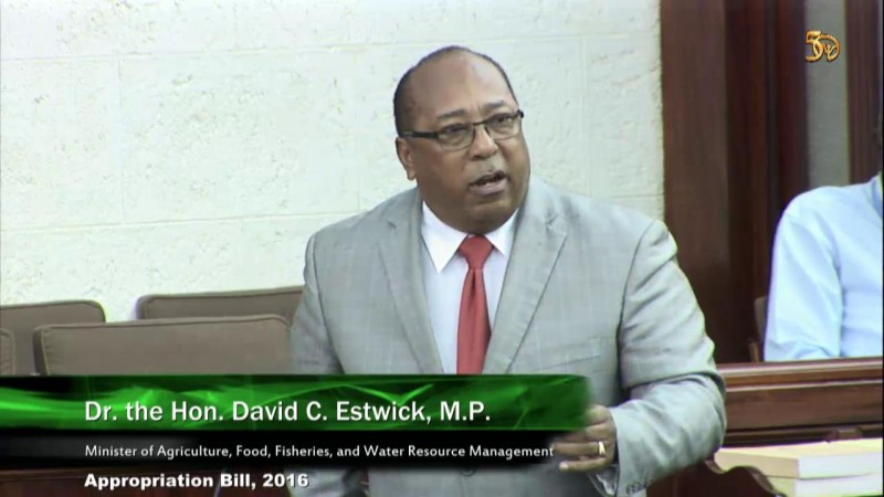 Dr. the Hon. David C. Estwick