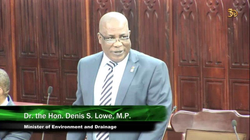 Dr. the Hon. Denis S. Lowe