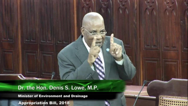 Dr. the Hon. Denis S. Lowe