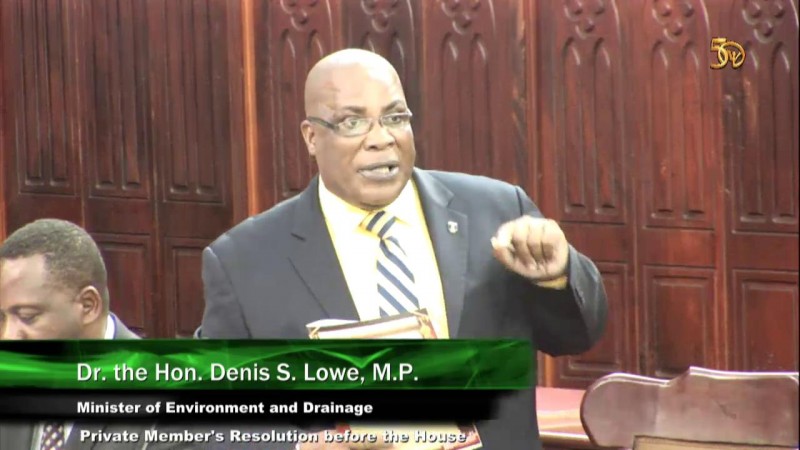 Dr. the Hon. Denis S. Lowe