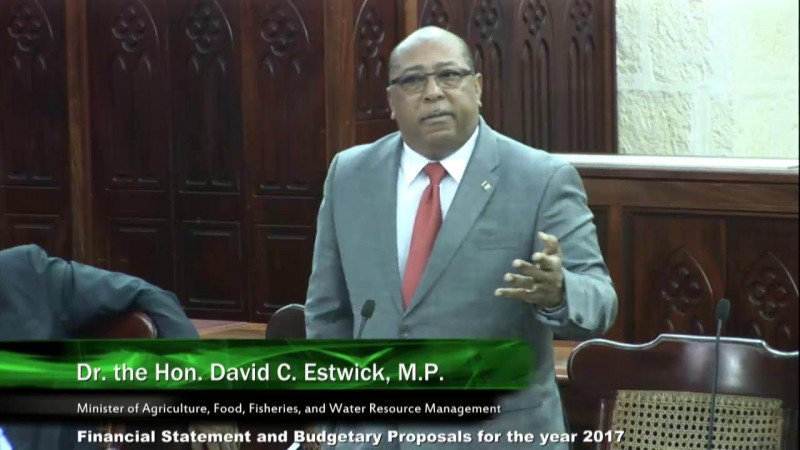 Dr. the Hon. David C. Estwick