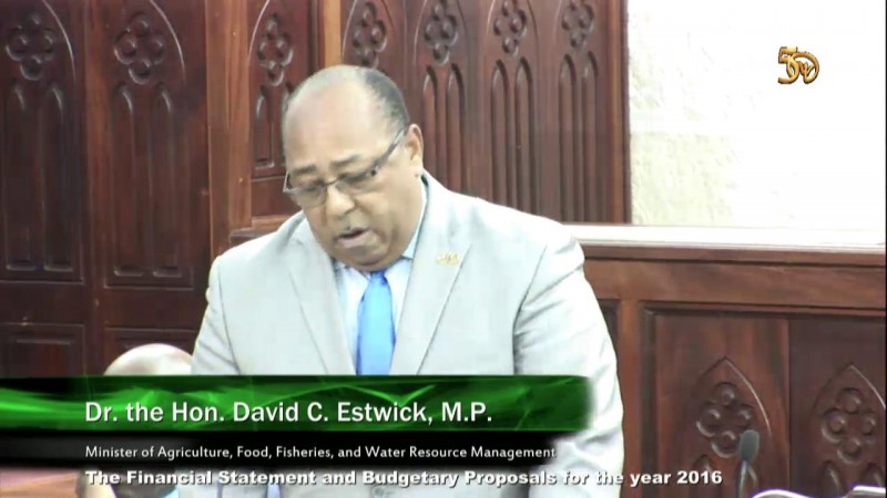 Dr. the Hon. David C. Estwick